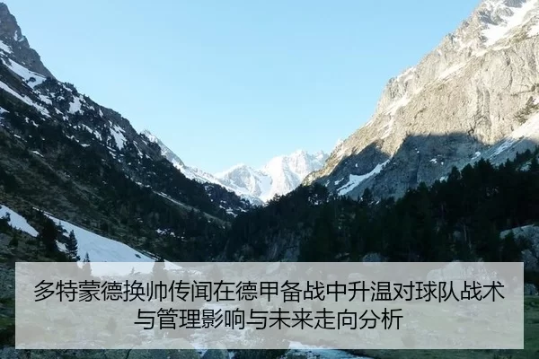 多特蒙德换帅传闻在德甲备战中升温对球队战术与管理影响与未来走向分析